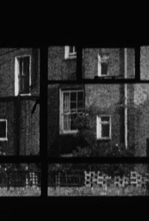 Постер: Window