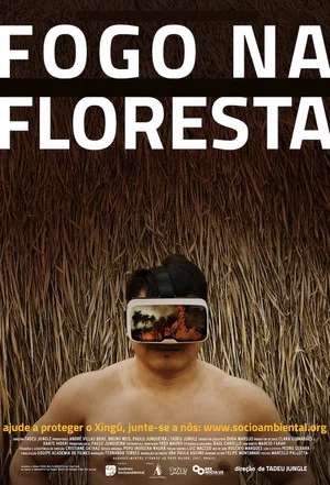 Постер: Fire in the Forest
