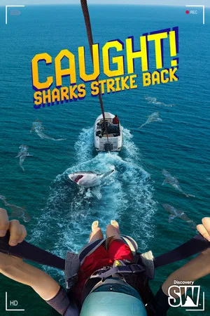 Постер: Caught! Sharks Strike Back