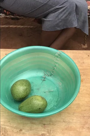 Постер: The Bowl
