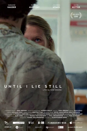 Постер: Until I lie still