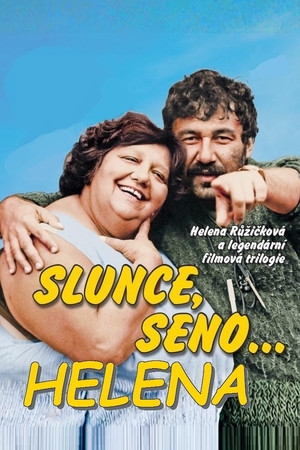 Постер: Sun, Hay, Helena