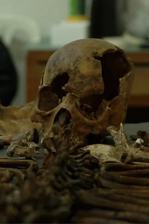 Постер: Bones of Truth