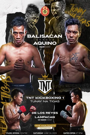Постер: TNT Kickboxing 1