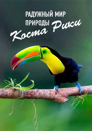 Постер: Радужный мир природы Коста-Рики