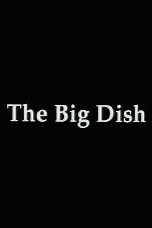 Постер: The Big Dish: Tiananmen 89