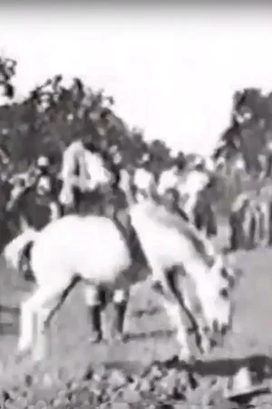 Постер: Cavalier sur un cheval rétif