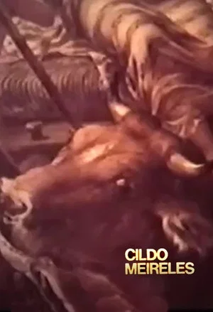 Постер: Cildo Meireles