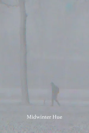 Постер: Midwinter Hue