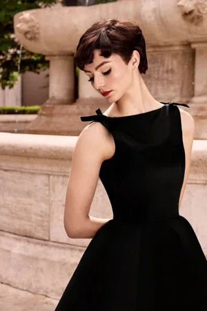 Постер: Dinner with Audrey