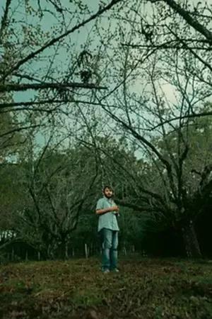 Постер: João de Barro