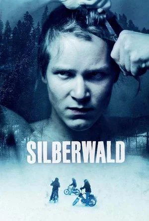 Постер: Silver Forest