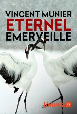 Постер: Vincent Munier, éternel émerveillé