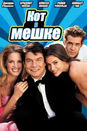 Постер: Кот в мешке
