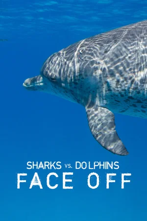 Постер: Sharks Vs. Dolphins: Face Off