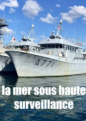 Постер: La mer sous haute surveillance