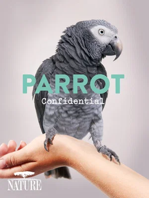 Постер: Parrot Confidential