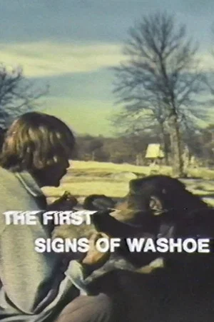 Постер: The First Signs of Washoe