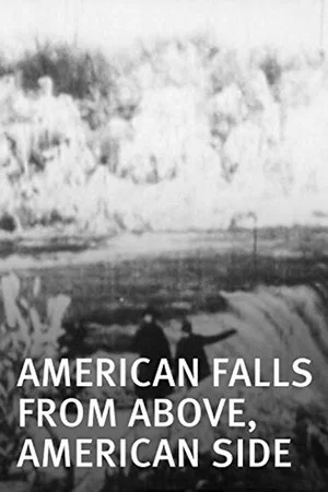 Постер: American Falls from Above, American Side