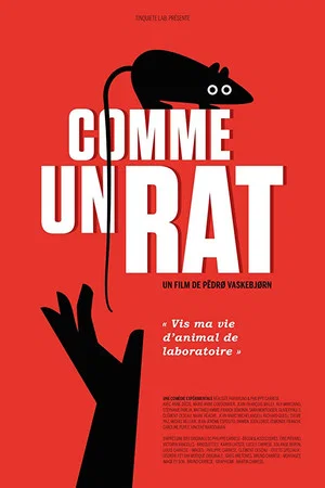 Постер: Comme un rat