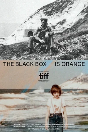 Постер: The Black Box is Orange