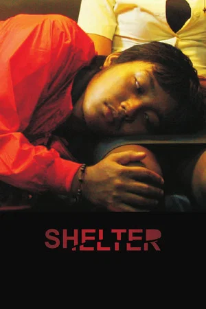 Постер: Shelter