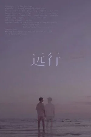 Постер: What Is Love