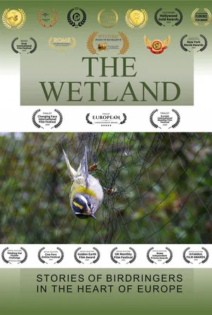 Постер: The Wetland