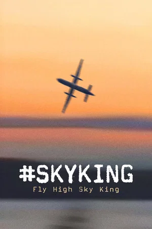 Постер: #SKYKING