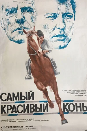 Постер: Самый красивый конь