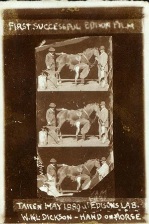 Постер: Horse Shoeing
