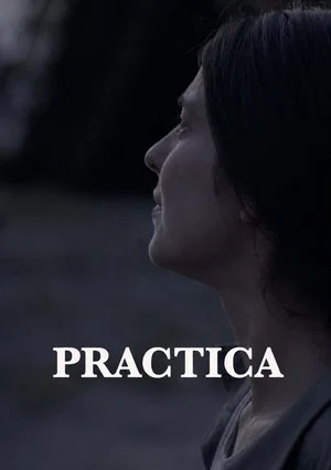 Постер: Practica