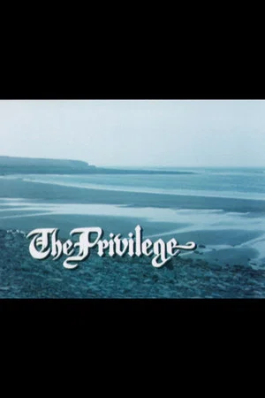 Постер: The Privilege