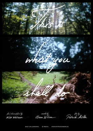 Постер: This Is What You Shall Do