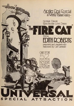 Постер: The Fire Cat