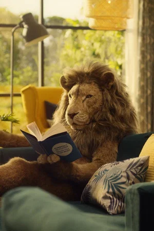 Постер: Lions