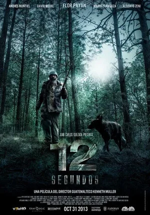 Постер: 12 segundos