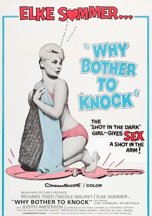 Постер: Don't Bother to Knock