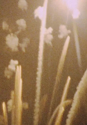 Постер: Fireworks