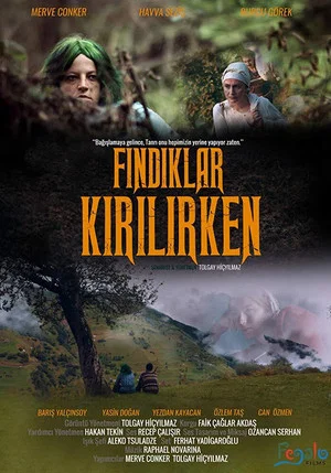 Постер: Fındıklar Kırılırken