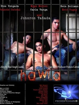 Постер: Hawla