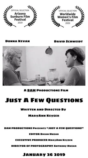 Постер: Just a Few Questions