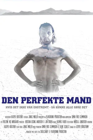 Постер: Den Perfekte Mand