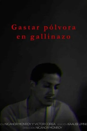 Постер: Gastar pólvora en gallinazos