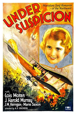 Постер: Under Suspicion
