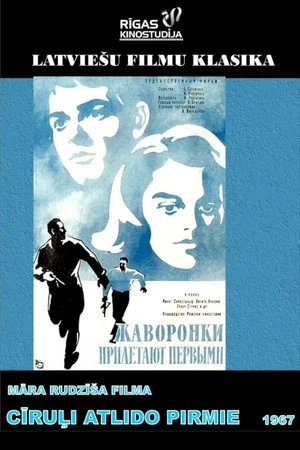 Постер: Жаворонки прилетают первыми