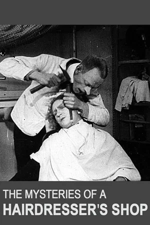 Постер: The Mysteries of a Hairdresser's Shop
