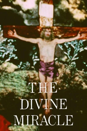 Постер: The Divine Miracle