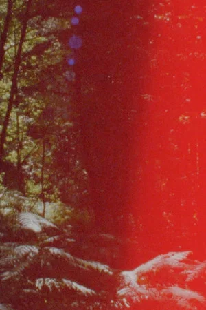 Постер: Newsreel 670 – Red Forests
