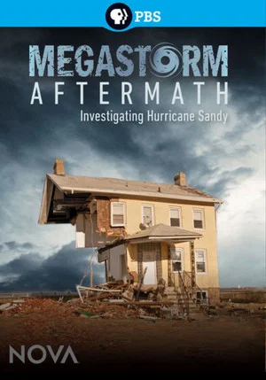 Постер: Megastorm Aftermath